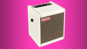 Positive Grid Spark Mini PW